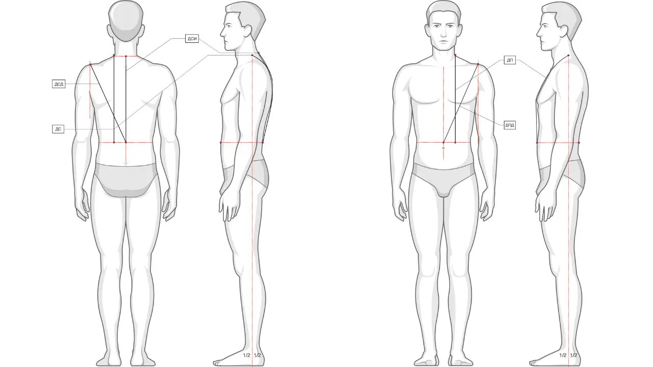 Снимаем мерки с мужской фигуры. Стандартная мужская фигура. Мерки мужской фигуры. Конструктивные пояса мужской фигуры. Идеальные мерки фигуры у мужчины.